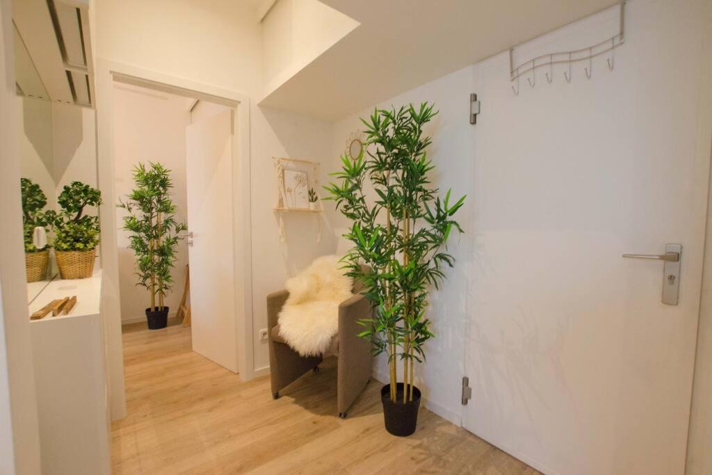 Casarina - Gemuetliches Apartment Im Zentrum Аугсбург Экстерьер фото