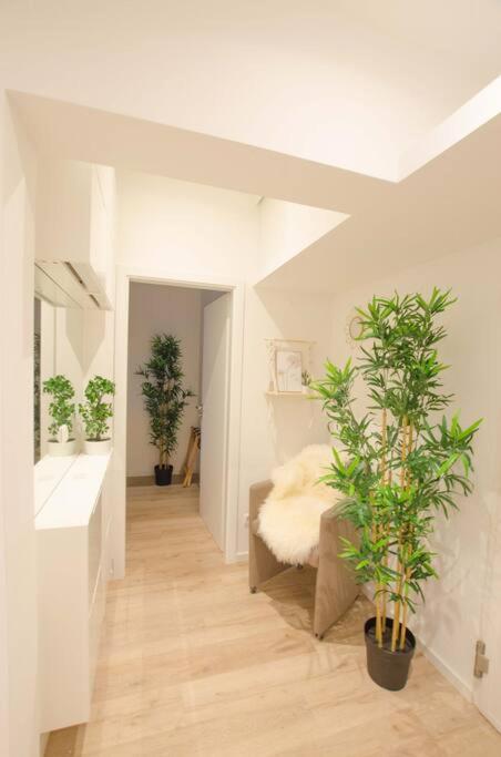Casarina - Gemuetliches Apartment Im Zentrum Аугсбург Экстерьер фото